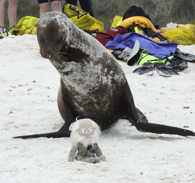 galapagos